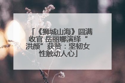 《狮城山海》圆满收官 岳丽娜演绎“洪颜”获赞：坚韧女性触动人心