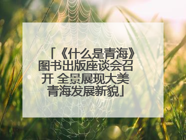 《什么是青海》图书出版座谈会召开 全景展现大美青海发展新貌