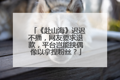 《赴山海》迟迟不播，网友要求退款，平台岂能挟偶像以拿捏粉丝？