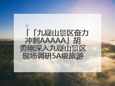 「九嶷山景区奋力冲刺AAAAA」胡勇刚深入九嶷山景区现场调研5A级旅游景区创建工作
