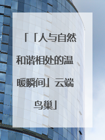 「人与自然和谐相处的温暖瞬间」云端鸟巢