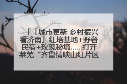「城市更新 乡村振兴看济南」红培基地+野奢民宿+玫瑰秘境……打开莱芜“齐鲁情映山红片区”的破圈秘籍