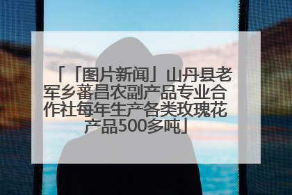 「图片新闻」山丹县老军乡蕃昌农副产品专业合作社每年生产各类玫瑰花产品500多吨