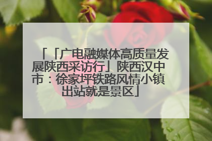 「广电融媒体高质量发展陕西采访行」陕西汉中市：徐家坪铁路风情小镇 出站就是景区