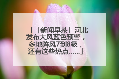 「新闻早茶」河北发布大风蓝色预警，多地阵风7到8级，还有这些热点……
