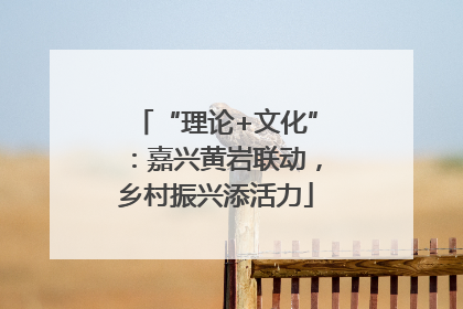 “理论+文化”：嘉兴黄岩联动，乡村振兴添活力