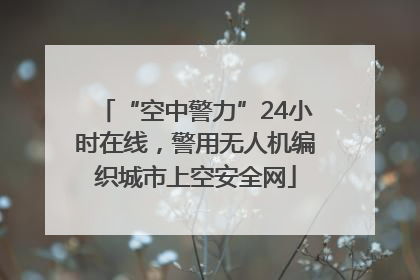 “空中警力”24小时在线，警用无人机编织城市上空安全网