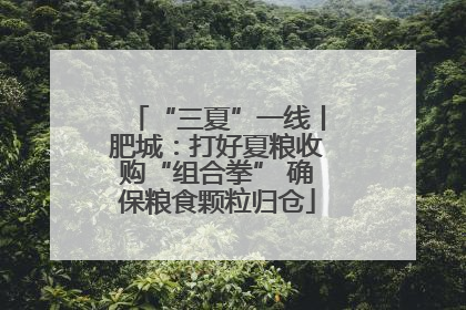 “三夏”一线丨肥城：打好夏粮收购“组合拳” 确保粮食颗粒归仓