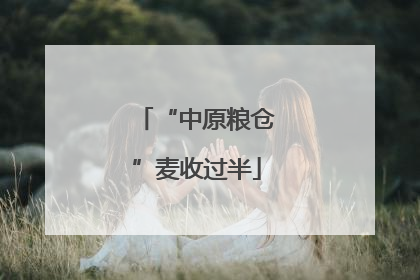“中原粮仓”麦收过半