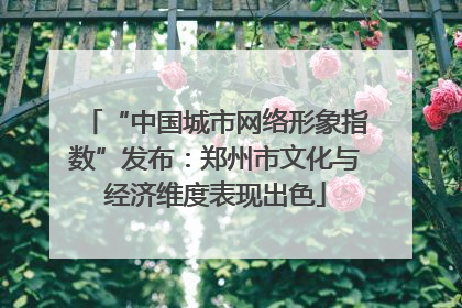 “中国城市网络形象指数”发布：郑州市文化与经济维度表现出色