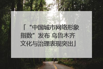 “中国城市网络形象指数”发布 乌鲁木齐文化与治理表现突出