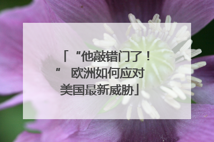 “他敲错门了！” 欧洲如何应对美国最新威胁