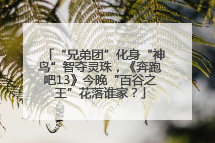 “兄弟团”化身“神鸟”智夺灵珠，《奔跑吧13》今晚“百谷之王”花落谁家？