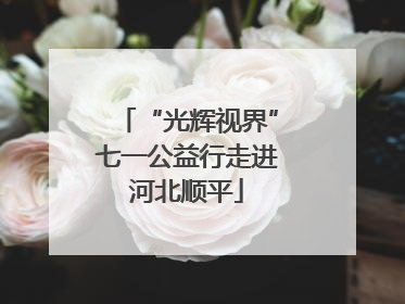 “光辉视界”七一公益行走进河北顺平