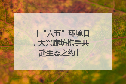 “六五”环境日，大兴廊坊携手共赴生态之约