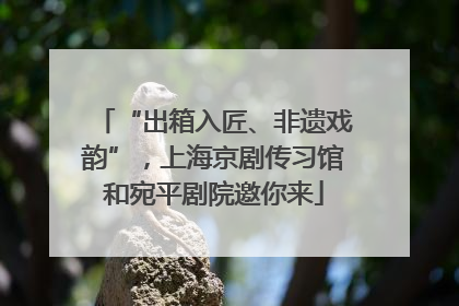 “出箱入匠、非遗戏韵”，上海京剧传习馆和宛平剧院邀你来