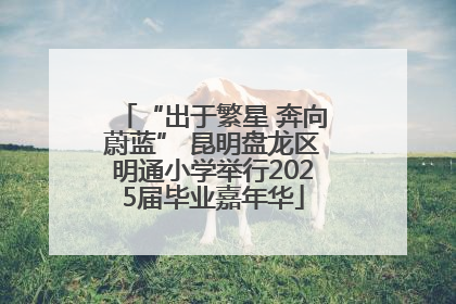 “出于繁星 奔向蔚蓝” 昆明盘龙区明通小学举行2025届毕业嘉年华