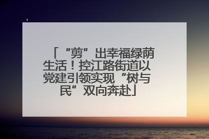 “剪”出幸福绿荫生活！控江路街道以党建引领实现“树与民”双向奔赴
