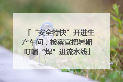 “安全特快”开进生产车间，检察官把暑期叮嘱“焊”进流水线
