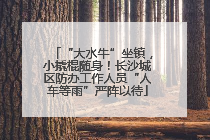 “大水牛”坐镇，小撬棍随身！长沙城区防办工作人员“人车等雨”严阵以待