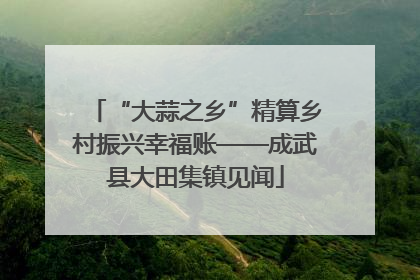 “大蒜之乡”精算乡村振兴幸福账——成武县大田集镇见闻