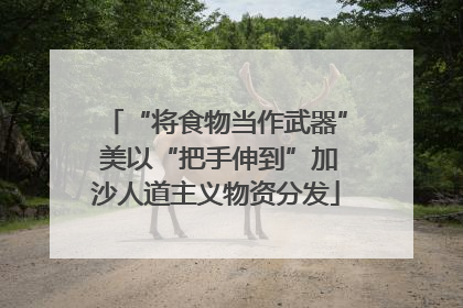 “将食物当作武器” 美以“把手伸到”加沙人道主义物资分发