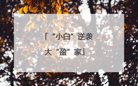 “小白”逆袭大“盈”家