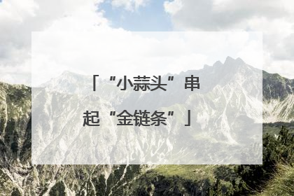 “小蒜头”串起“金链条”