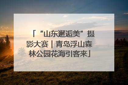 “山东邂逅美”摄影大赛｜青岛浮山森林公园花海引客来