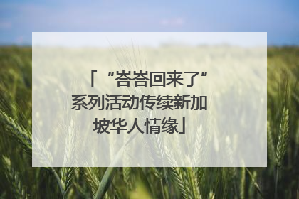 “峇峇回来了”系列活动传续新加坡华人情缘