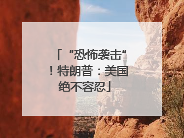 “恐怖袭击”！特朗普：美国绝不容忍
