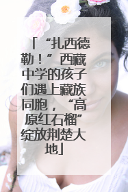 “扎西德勒！”西藏中学的孩子们遇上藏族同胞，“高原红石榴”绽放荆楚大地