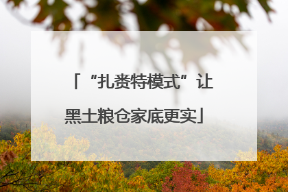“扎赉特模式”让黑土粮仓家底更实