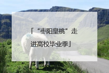“枣阳皇桃”走进高校毕业季