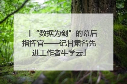 “数据为剑”的幕后指挥官——记甘肃省先进工作者牛学云