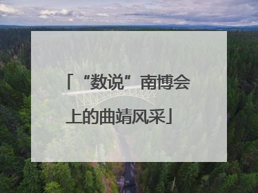 “数说”南博会上的曲靖风采
