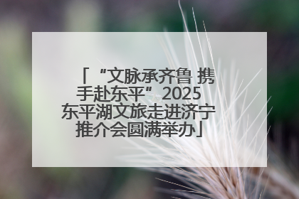 “文脉承齐鲁 携手赴东平”2025东平湖文旅走进济宁推介会圆满举办