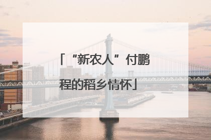 “新农人”付鹏程的稻乡情怀
