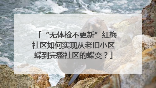 “无体检不更新”红梅社区如何实现从老旧小区蝶到完整社区的蝶变？