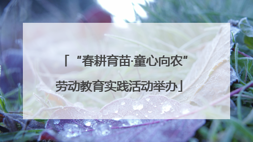 “春耕育苗·童心向农”劳动教育实践活动举办
