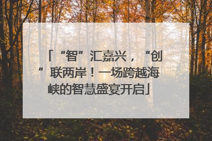 “智”汇嘉兴，“创”联两岸！一场跨越海峡的智慧盛宴开启