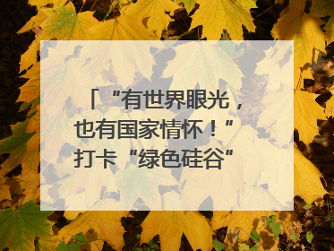 “有世界眼光，也有国家情怀！”打卡“绿色硅谷”，博主新解乐山｜网络名人四川行
