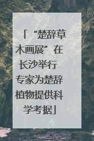 “楚辞草木画展”在长沙举行 专家为楚辞植物提供科学考据