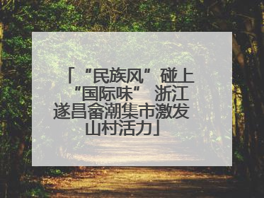 “民族风”碰上“国际味” 浙江遂昌畲潮集市激发山村活力
