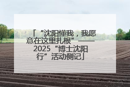 “沈阳懂我，我愿意在这里扎根”——2025“博士沈阳行”活动侧记