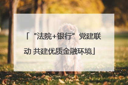 “法院+银行”党建联动 共建优质金融环境