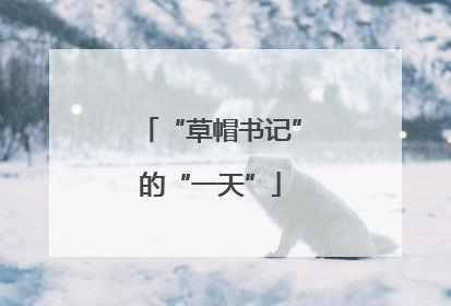 “草帽书记”的“一天”