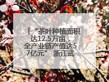 “茶叶种植面积达12.5万亩，全产业链产值达57亿元” 浙江武义茶产业全链发展“加速度”