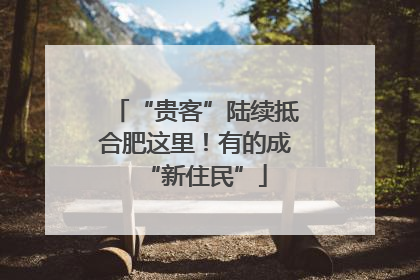 “贵客”陆续抵合肥这里！有的成“新住民”