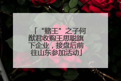 “赌王”之子何猷君收购王思聪旗下企业，接盘后前往山东参加活动